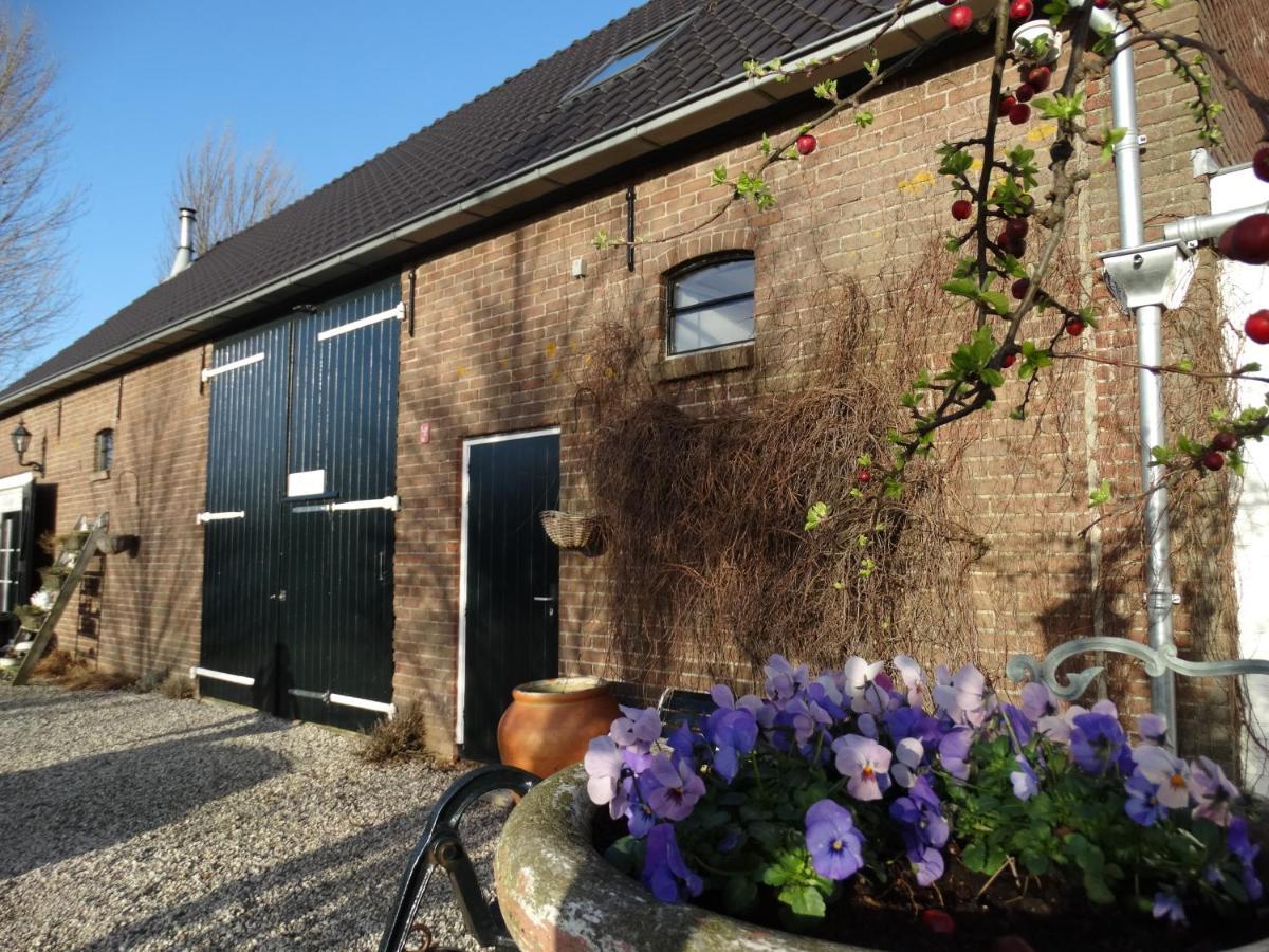B & B 'Droom In De Polder De Suite Met Prive Sauna Arnemuiden Exterior foto